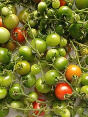 Top view of a bunch of cherry tomatoes in different colors on the table. 