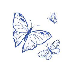 Butterfly Vector Drawing
