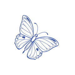 Elegant Butterfly: Vector Line Art Masterpiece