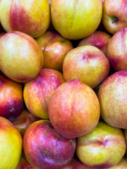 peaches, A bunch of peaches are piled on top of each other. They are all different sizes and colors