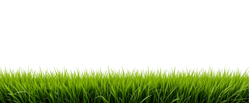 Green Grass Landscape – Isolated PNG for Web or Print Design