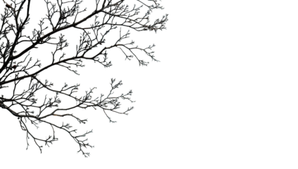 Close-up of a wintry tree branch, heavily frosted or iced over, with tiny colorful lights or decorations scattered on the branches