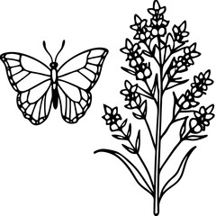 Butterfly Bush Redwood line art vector