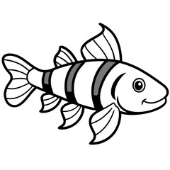 Clown Loach line art vector