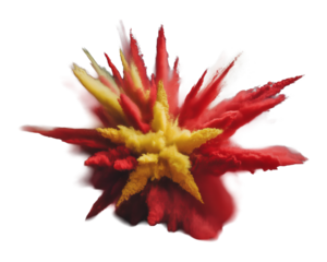 Vietnam Flag with Vibrant red and yellow powder explosion frozen mid-air, creating an abstract starburst effect with dynamic swirling particles.