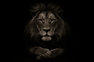Papier peint photo Lion Regal male lion with a magnificent mane looking directly at the camera from a dark background, embodying power and nobility  © AI DESIGN 0