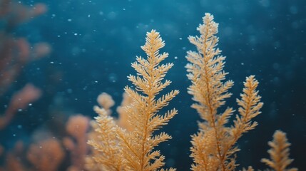 Underwater Fronds. Golden Seaweed Thriving in Blue Depths, Ocean Garden