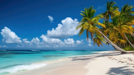 Fototapeta premium Tropical beach with palm trees under a vibrant sky