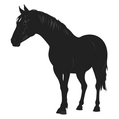 Elegant silhouette of a black horse standing gracefully, perfect for equestrian designs and symbolic art