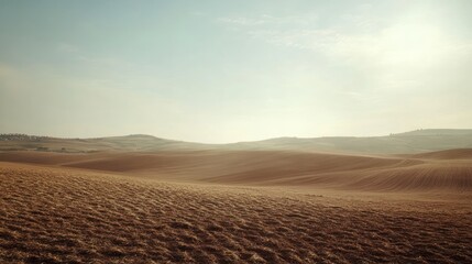 Expansive, sunlit, golden-brown fields stretch to hazy hills