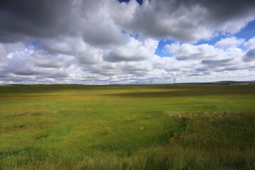 A sunny summer day on the prairie of Inner Mongolia, China