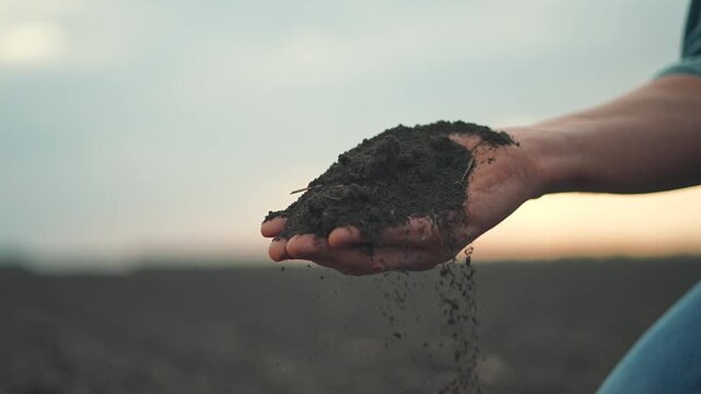 Farmer hand holds loose dark soil above field dirt falls slowly through fingers. Hand controls soil texture field. Dirt slips from hand showing soil condition. Soil testing helps agriculture planning.