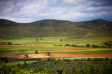 Fototapeta premium A sunny summer day on the prairie of Inner Mongolia, China