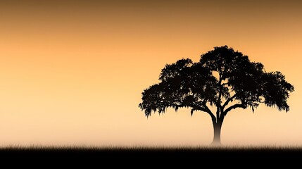 Obraz premium Silhouette of a majestic tree at sunset.