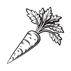 Carrot icon black vector, Adobe Illustrator Artwork