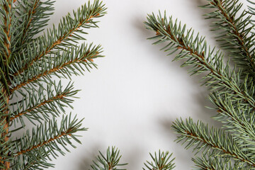 Close-up top view of frame from fresh green spruce tree branches lying on white surface. Copy space. Soft focus. Natural winter holidays background.
