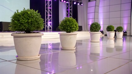 Row of potted green plants on a reflective runway stage