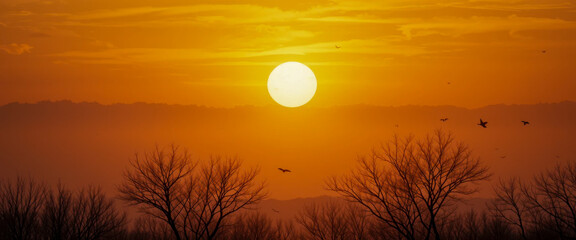A vibrant sunset bathes the landscape in warm, golden light. Silhouetted trees and birds add to the serene, picturesque scene.