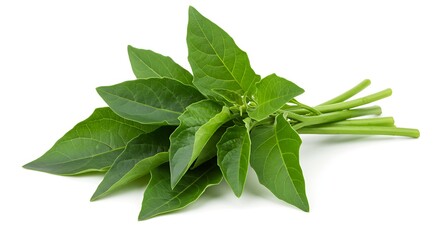 A bunch of green spinach leaves with stems together on a white surface in a close up shot view fresh ai generative