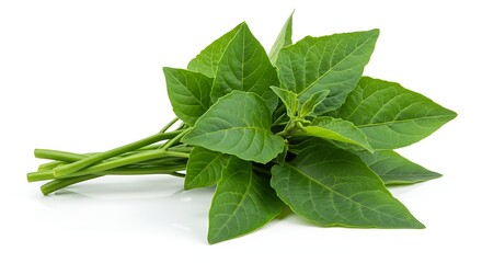 A bunch of fresh green leaves with stems lying on a white surface in a bright studio setting shot ai generative
