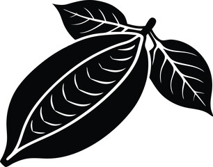 a cocoa pod and leaves silhouette vector