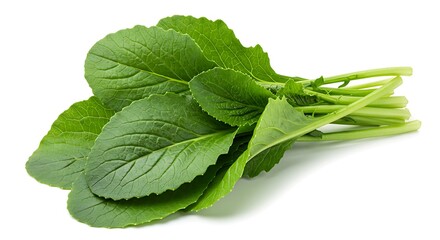 A bunch of fresh green bok choy leaves stacked on a white surface in a studio shot close up view ai generative