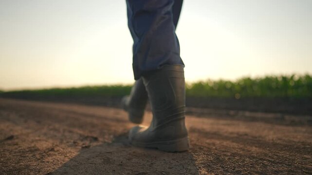 Man walks alone on dirt path. Farmer moves quietly boots on soil. Walking near field at sunset. Boots make soft prints in dirt. Farmer crossing dusty road, boots press soil, man walks into field glow.