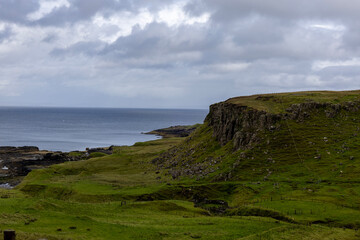 A coastal landscape featuring green grassy fields and rocky cliffs overlooking the ocean. The cloudy sky adds a dramatic touch to this natural and rugged seascape.