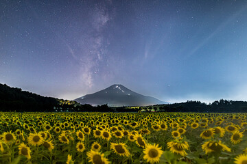山中湖村花の都公園ヒマワリ畑から富士山に昇る天の川