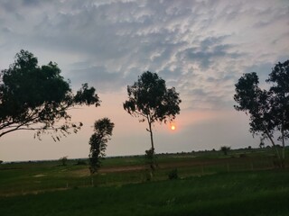 Naklejka premium Serene sunset over a vast green field, with silhouetted trees against a dramatic, cloudy sky. A peaceful, rural landscape capturing nature's tranquil beauty.