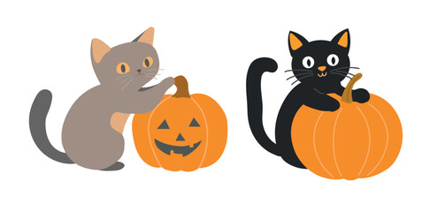 Cat with pumpkin. Flat vector clipart, illustration with isolated background.