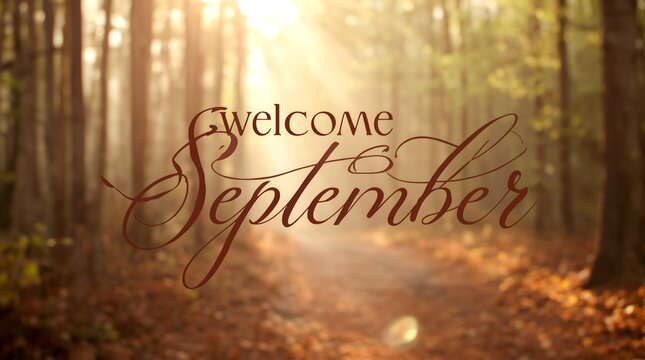 Warm welcome to september with sunbeams filtering through a forest path lined with autumn leaves