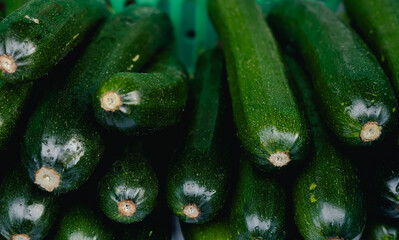 Fresh zucchini at small local urban market. Organic produce on sale at outdoor farmer market....