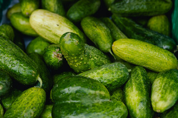 Fresh vegetables at small local urban market. Organic produce on sale at outdoor farmer market. Selling fresh crops and veggies harvest. European urban setting. Close up. Part of the series