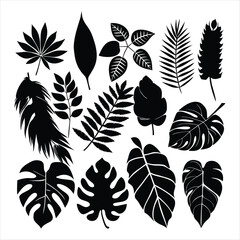 Black Tropical Leaves Silhouettes Collection leaf foliage