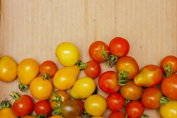 Fresh tomatoes at small local urban market. Organic produce on sale at outdoor farmer market. Selling fresh crops and veggies harvest. European urban setting. Close up. Part of the series