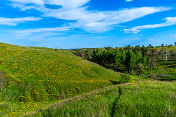 Naklejka premium The 