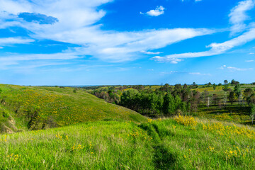 Fototapeta premium The 