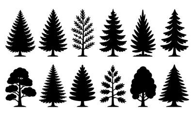 Collection of various pine and deciduous tree silhouettes isolated on transparent background silhouette.
