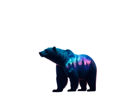 Polar Bear with Northern Lights PNG