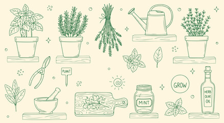 Culinary Herbs Vector Illustration Set. Green Hand Drawn Line Art of Potted Herbs, a Mortar and Pestle, and Kitchen Tools for Cooking, Menu, and Garden Design. Botanical Icons. Herb. © MH HASIB