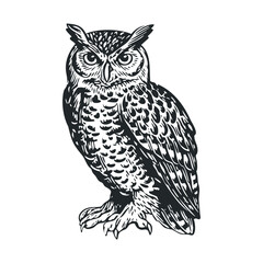 Fototapeta premium Majestic owl perched gracefully on a branch