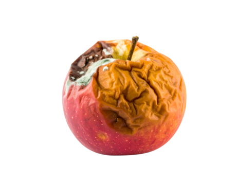 Rotten Apple Isolated on White Background