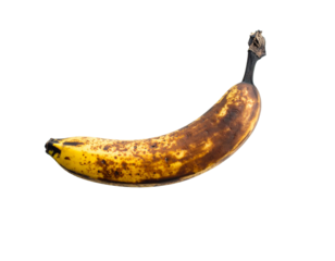 Rotten Banana Isolated on White Background