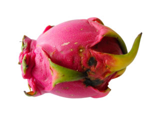 Rotten Dragon Fruit Isolated on White Background