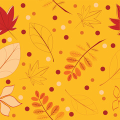Vector beautiful autumn background pattern