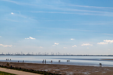 People wading at the marshland at the North Sea, Germany, under blue sky and wind turbines in the background