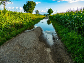 Pfützen auf einem Feldweg