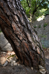 Bulamsa Temple is a famous temple in Korea.
