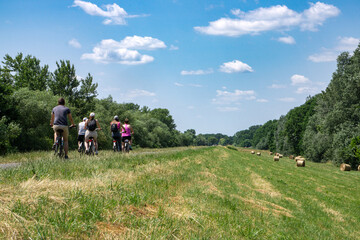 Fototapeta premium Cyclists on the bicycle road in the summer